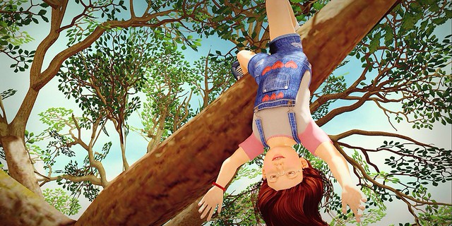 Up A Tree
