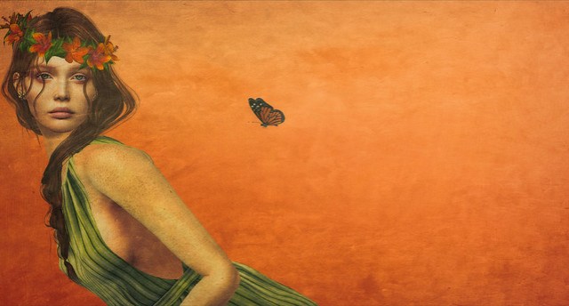 Chasing Butterflies