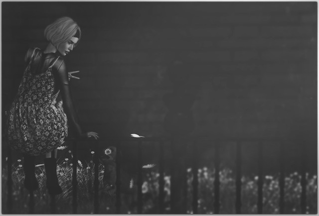 Life feels like a black and white movie