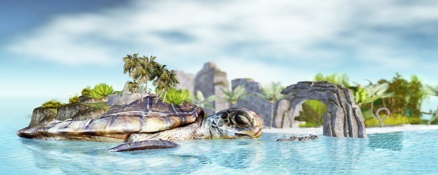 Eden Island