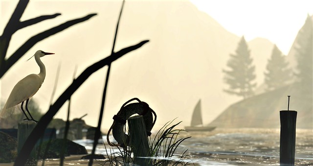 -Netherwood-