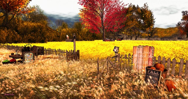 The Harvest and Thanksgiving