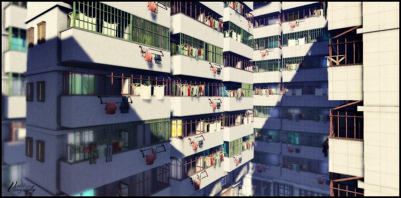 A Thousand Windows 12