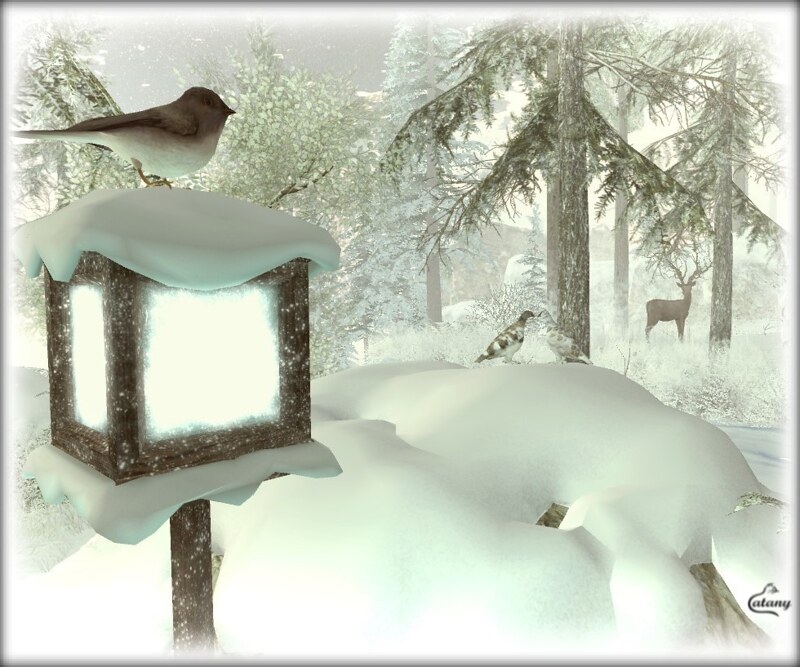 Snowbird