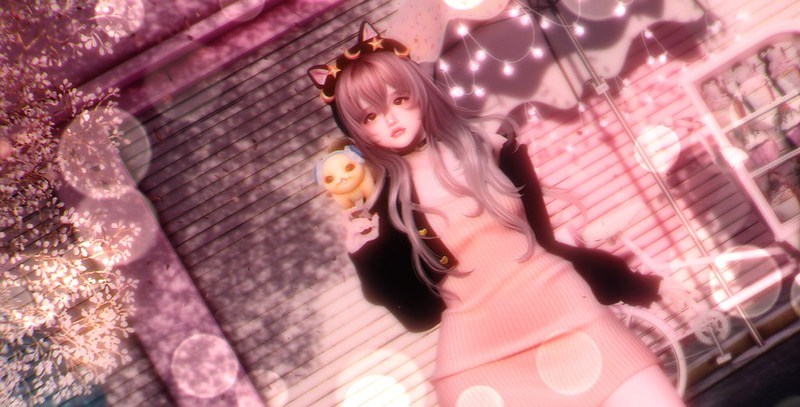「petal rain」♡