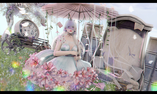 WONDERLAND