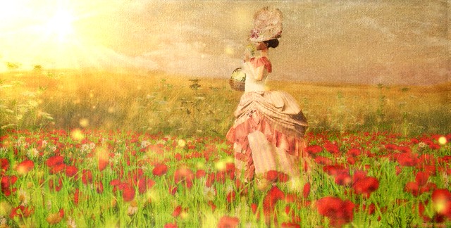 Poppy Fields