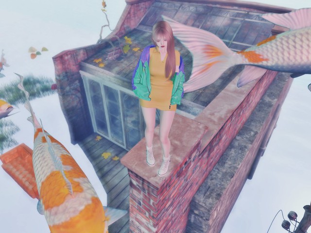 Snapshot_045