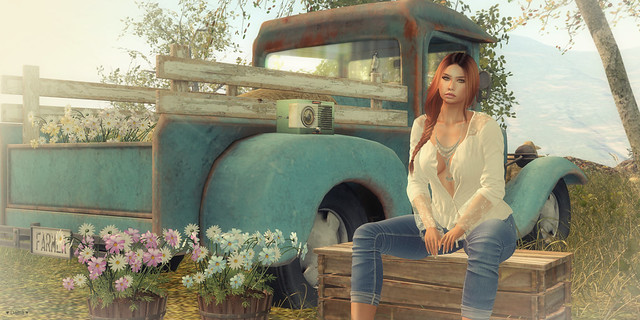 "Sunny afternoon...."