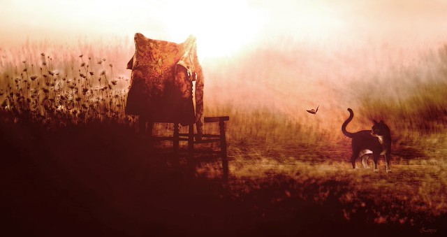 When I´m Gone