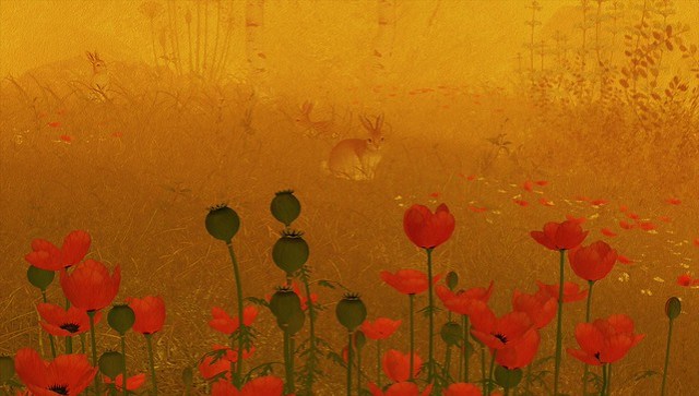 a shy rabbit ... with poppies