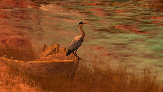 colors .. with heron .......... 80 Days Jambo