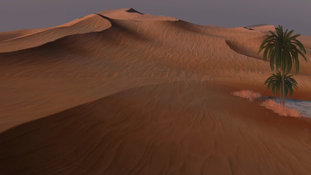 The desert