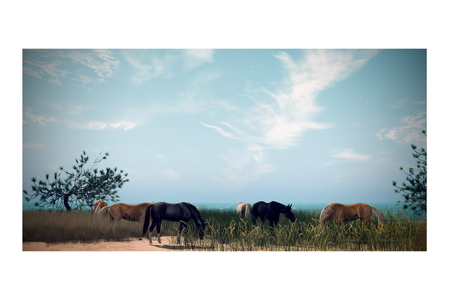 Did you know that? Some unicorns like to dress up as horses