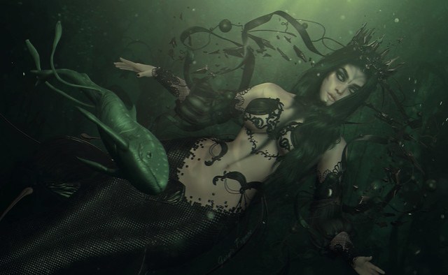 The Black Siren