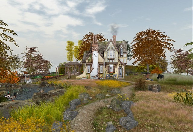 Autumn Woodland Sky Platform