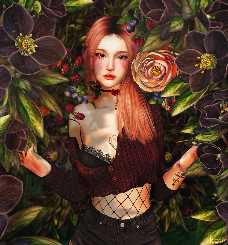 Hellebore