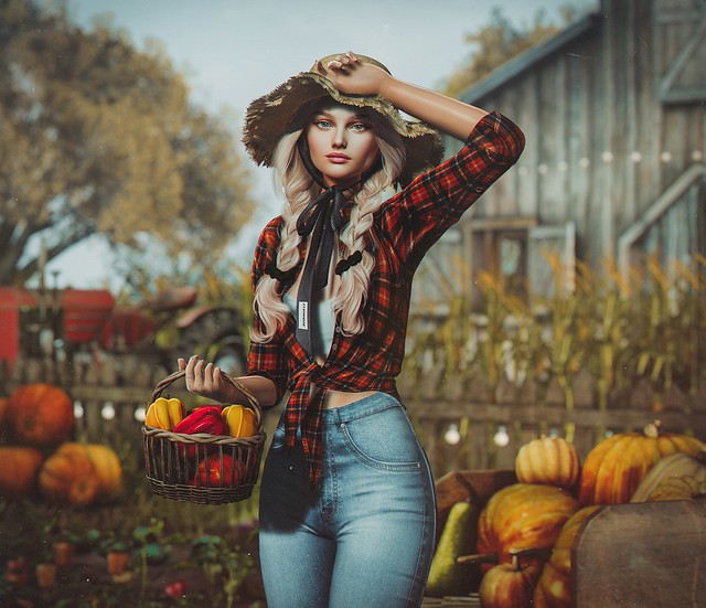 The Last Harvest