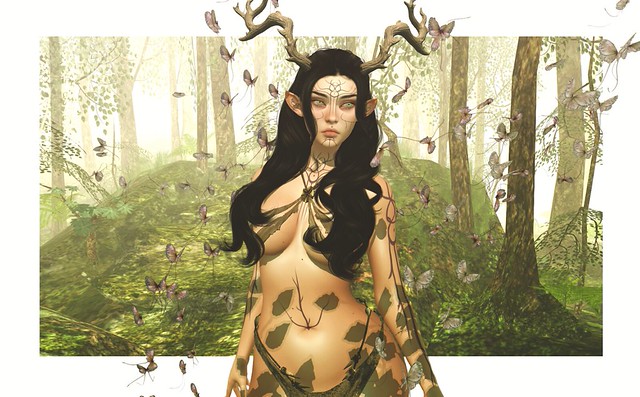 dalish wood