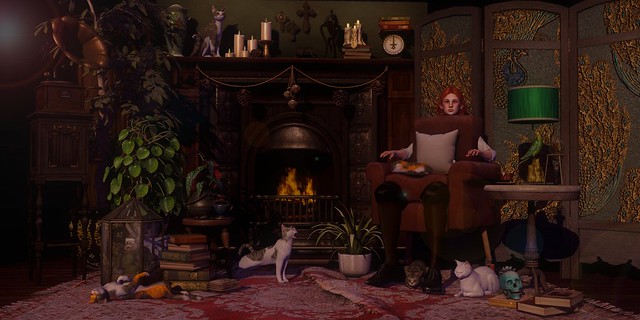 .267 - still life