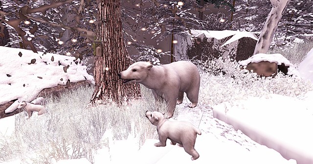 mom & baby bear