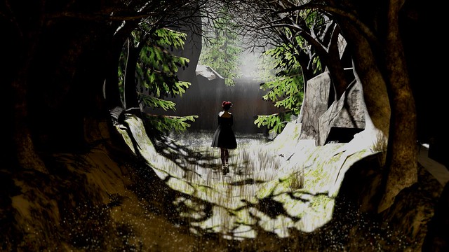 The passage