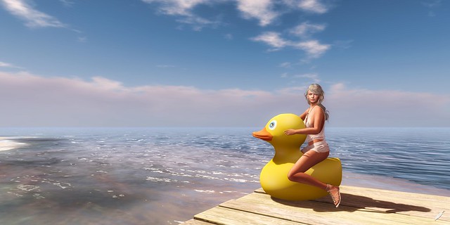 Sitting on the duck of the bay