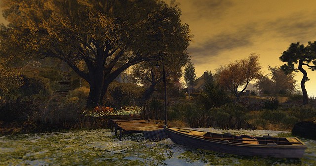 Frogmore Autumn Grove Photo Contest 2022 Entry 1 Michael Lysios