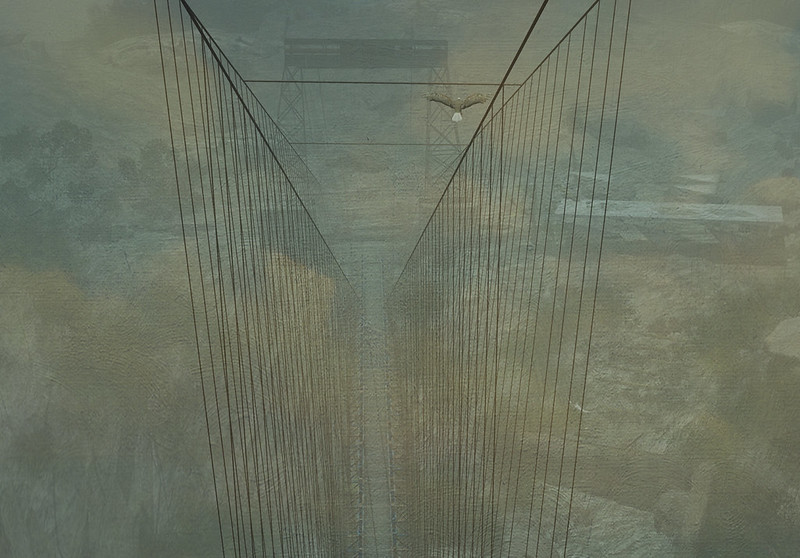 The Bridge