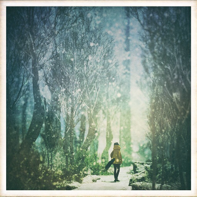 wandering_world1764