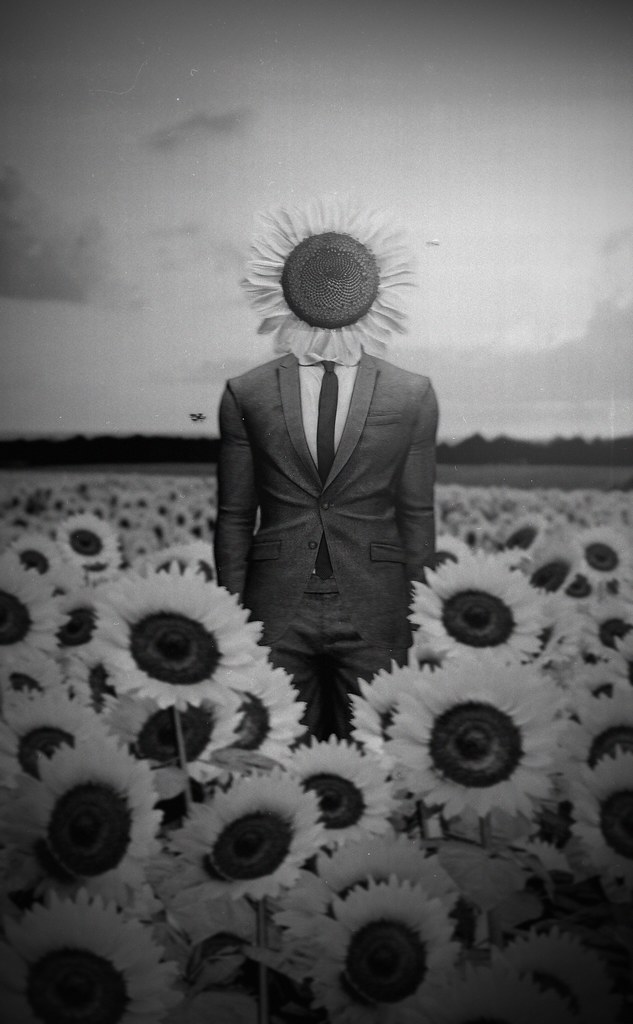 "A Surreal Spring" Pryce : Bloom of Spring Campaign