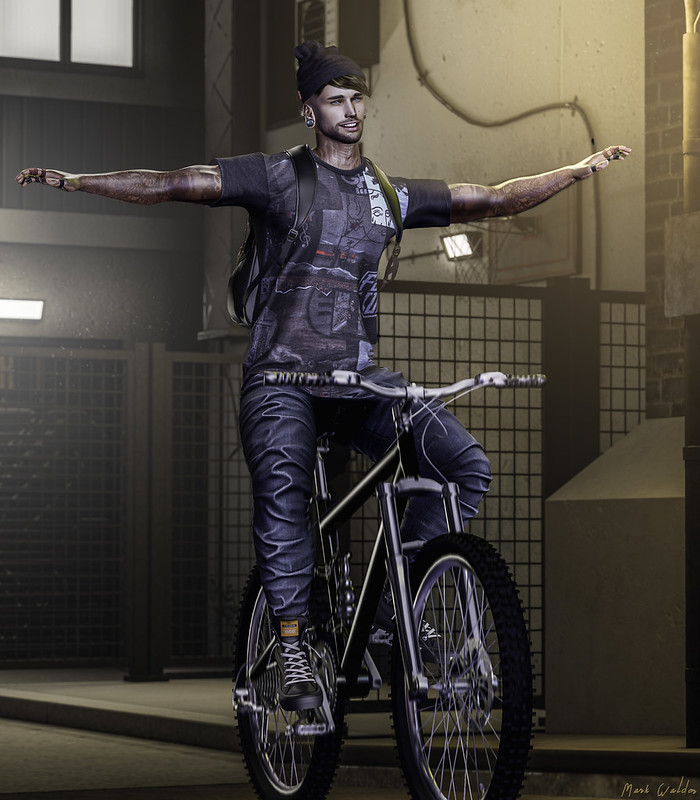 {The Spot} Bicycle 3