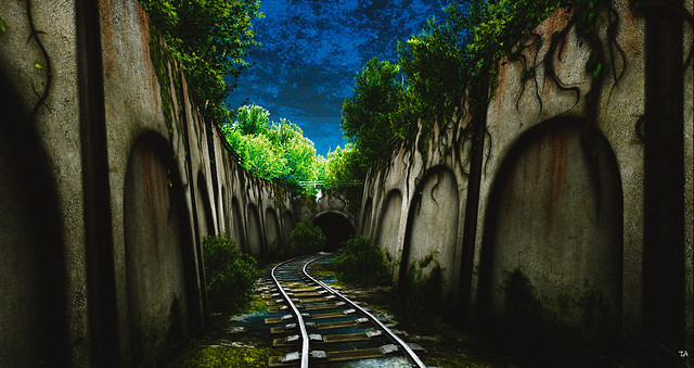 I Know Not Where the Road Will Lead.....