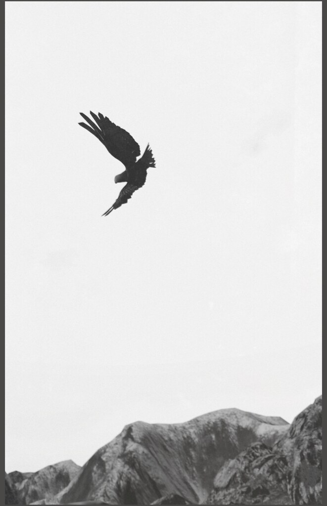 [ i want to fly... ]