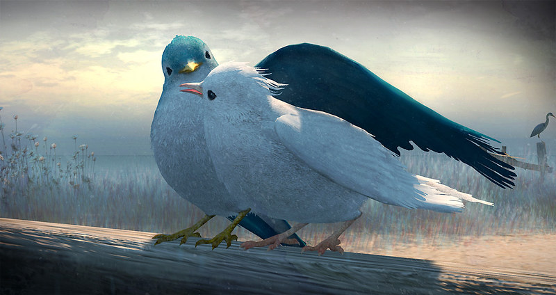 SecondLife Avians (Birds)!