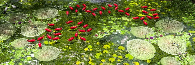 Colors of life ...
