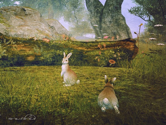 Cloven Forest 7