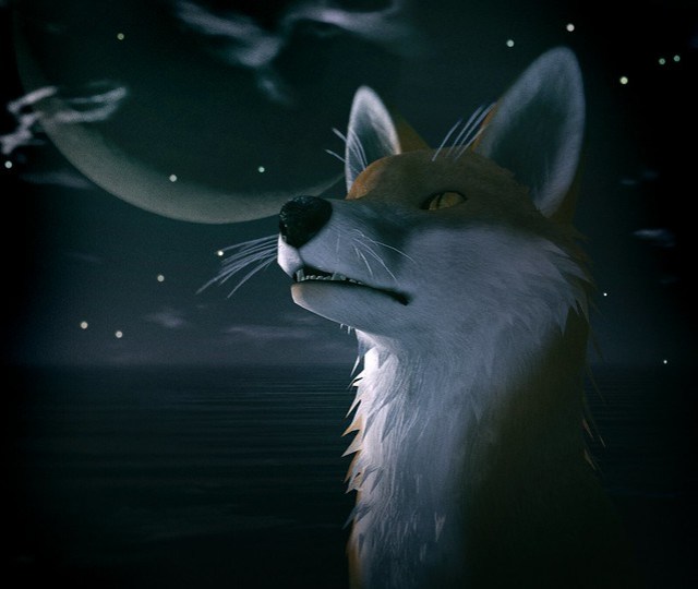 Fox under the moon