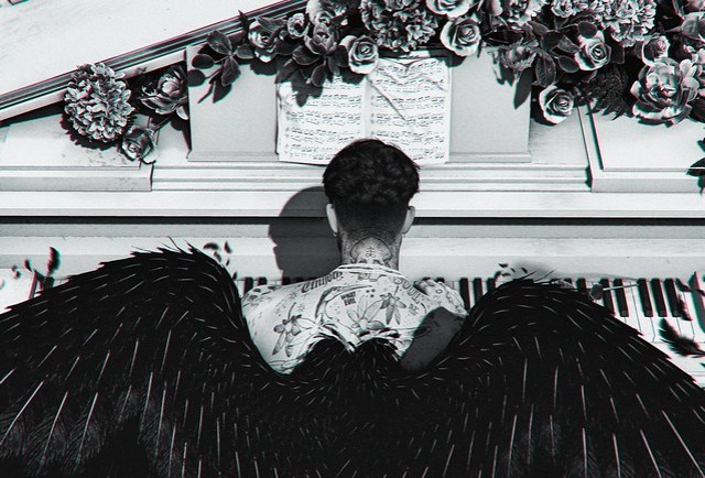 FALLEN ANGEL [ B&W ] ×××