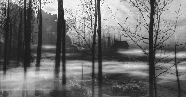 Witherwood Thicket Photo Contest Entry 2 xjustfriendx