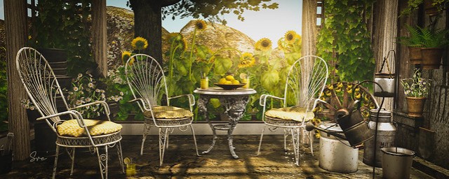 Apple House - Veranda