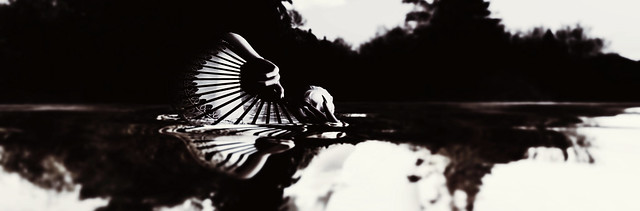 Watereagle.