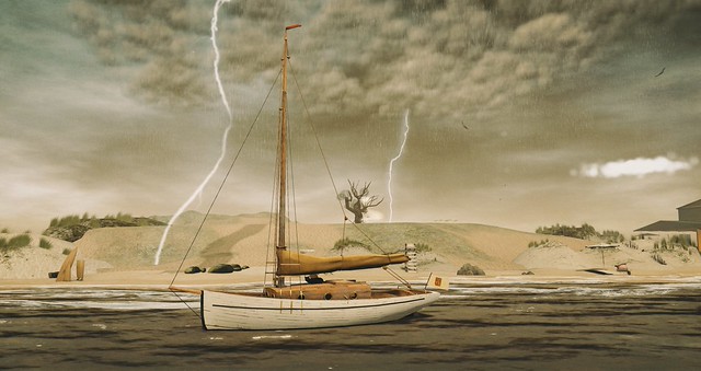Weathering the Storm