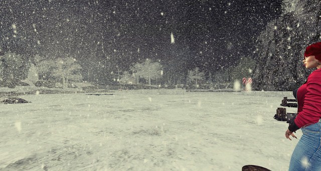 New Haven - The January Blizzard