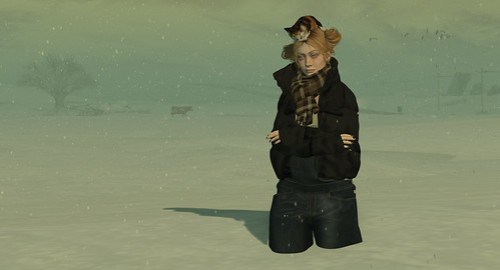 ... snowed a little...