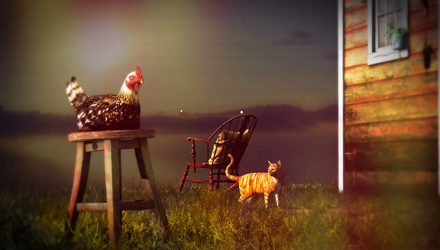 Bella's Lullaby - The Hen