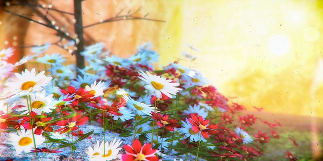 Spring dance