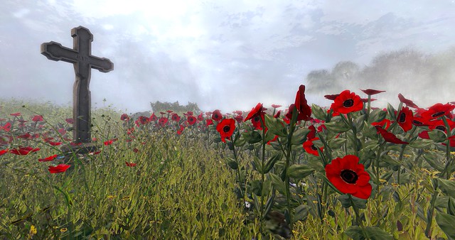 Remembrance - what a Wonderful world this could be