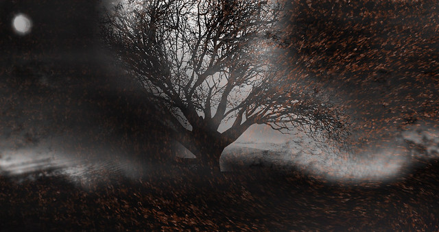 "Love the trees until their leaves fall off, then encourage them to try again next year."