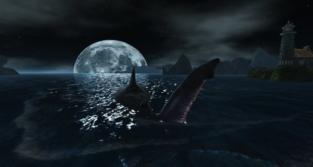 2024-01-21-SL Snapshot-005